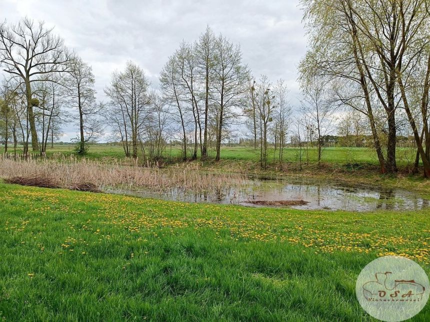 Siedlisko na uboczu rzeka staw 6 km Pyzdry miniaturka 4