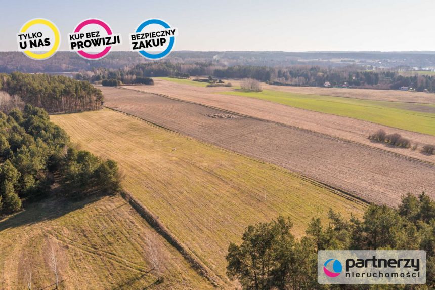 Zwierzewo, 1 499 000 zł, 1.29 ha, droga dojazdowa gruntowa miniaturka 8