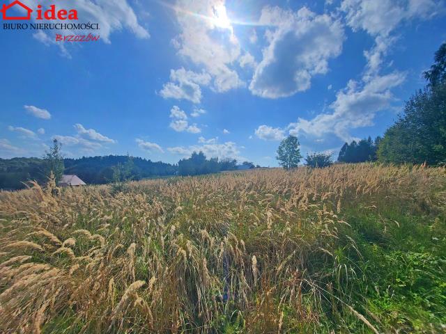 Brzozów, 299 000 zł, 61.25 ar, budowlana miniaturka 12