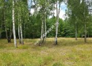 Działka Budy Grzybek 3000 m2 miniaturka 2