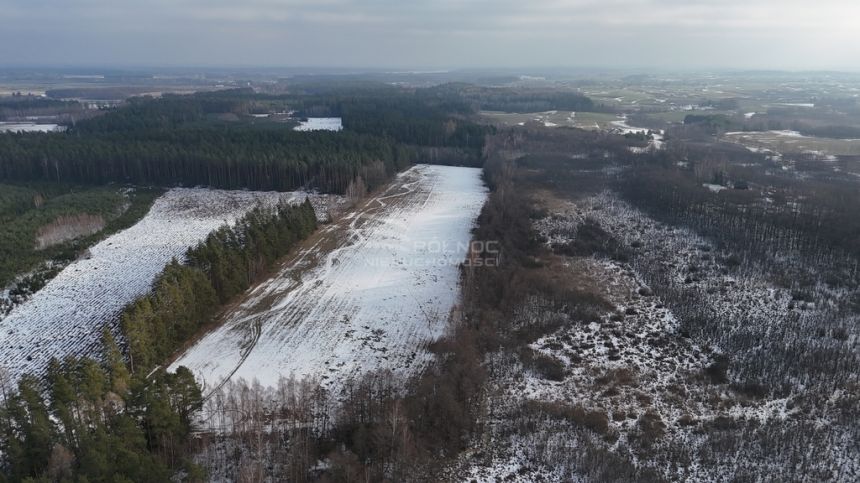 Działka w otulinie lasu niedaleko jeziora Makosiej miniaturka 3