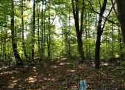 Kosów, 120 000 zł, 30 ar, budowlana miniaturka 1