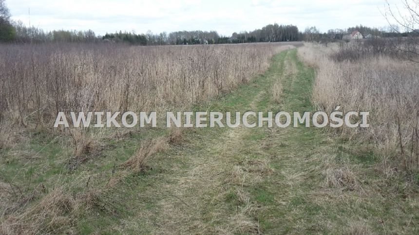 Grodzisk Mazowiecki, 599 000 zł, 1.01 ha, siedliskowa miniaturka 4
