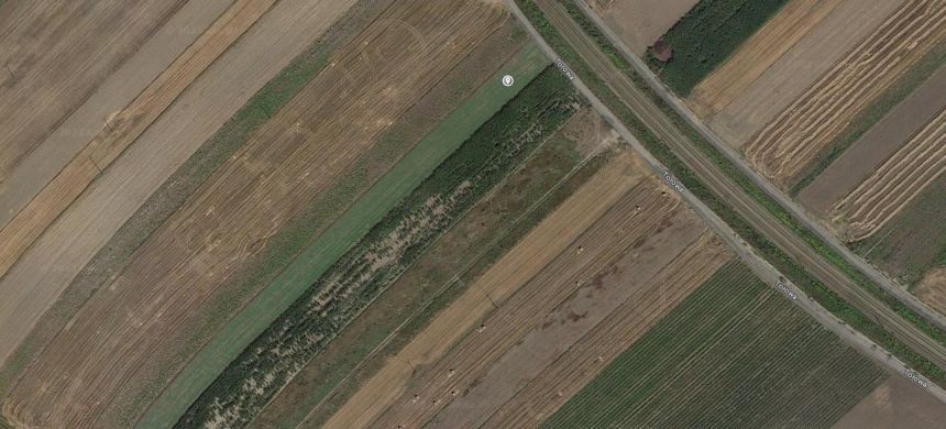 Kotunia, 650 000 zł, 85 ar, rolna miniaturka 13