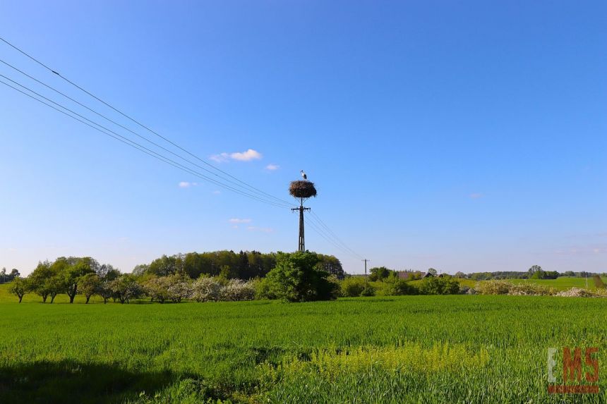 Klejwy, 380 000 zł, 1.31 ha, droga dojazdowa gruntowa miniaturka 7