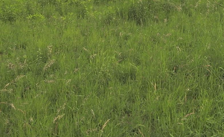 Działa budowlana, 3490 m2, - zdjęcie 1