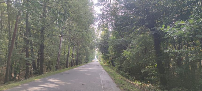 Borzęcin Duży działka rolna, blisko las. miniaturka 5