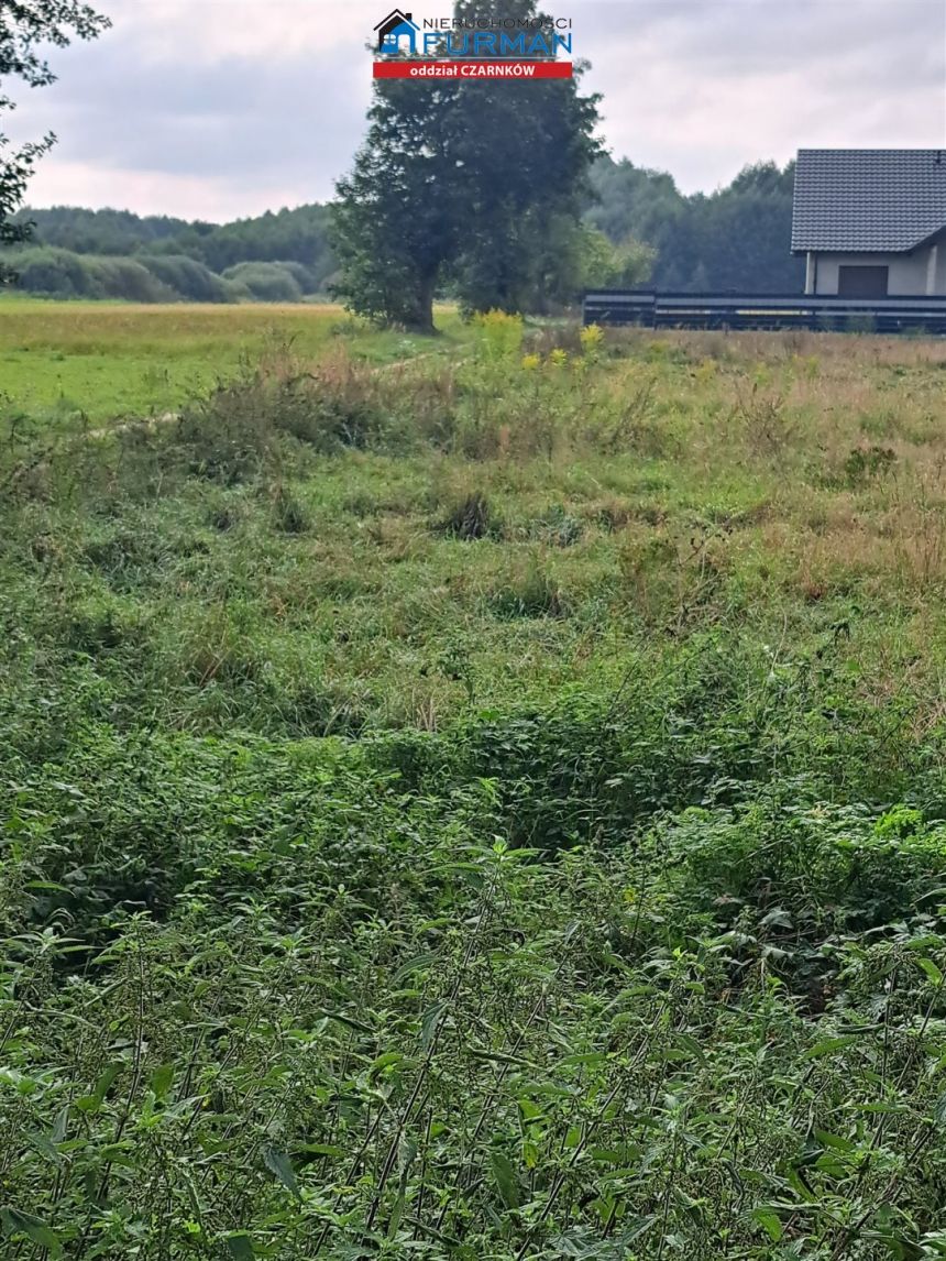 działka na sprzedaż w Zofiowie gmina Czarnków miniaturka 5