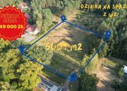 Wełmin, 249 000 zł, 50.01 ar, droga dojazdowa asfaltowa miniaturka 1