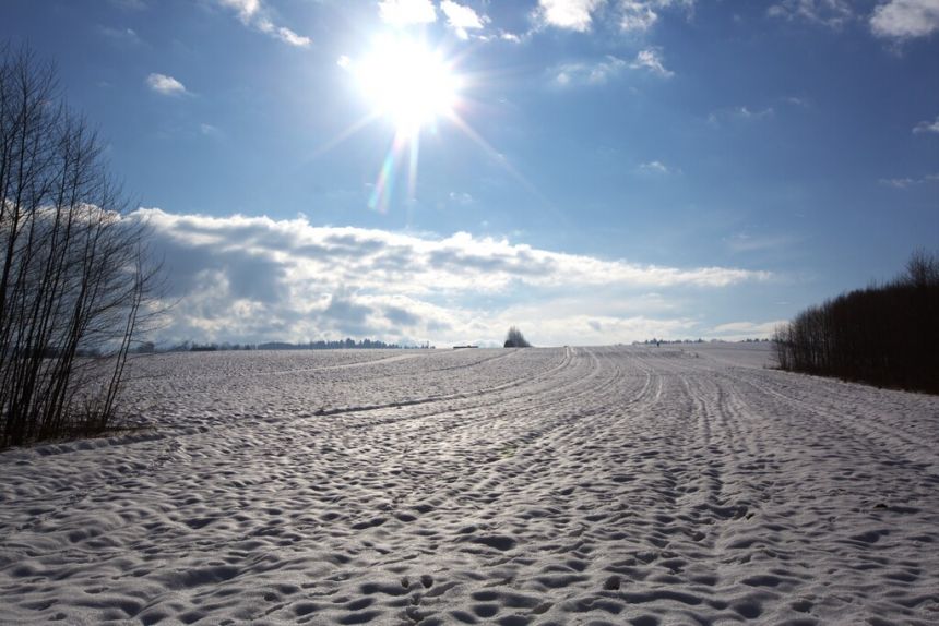 Działka rolno - budowlana (1,61ha) w Ołpinach! miniaturka 3