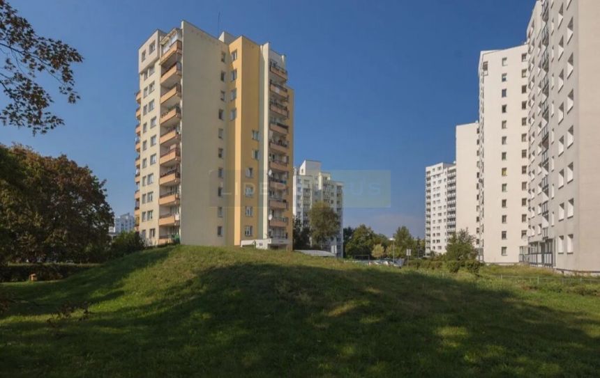 3 pokoje na Targówku Mieszkaniowym, z ogródkiem miniaturka 14