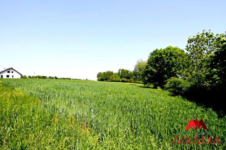 2 działki nad Jeziorem Lenie/Powiat Lipnowski miniaturka 7