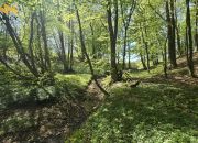 Dom 75 m² z działką 2,5 ha i strumieniem–Ogrodniki miniaturka 4