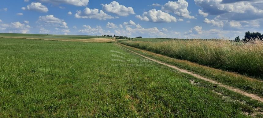 Dzaiłka rolna. Dobrzyniewo Kościelne. miniaturka 2