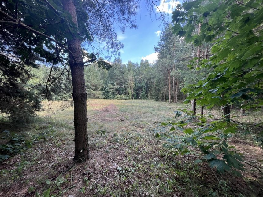 Działka budowla 3117 m2 w Kowali gm. Puławy. miniaturka 11