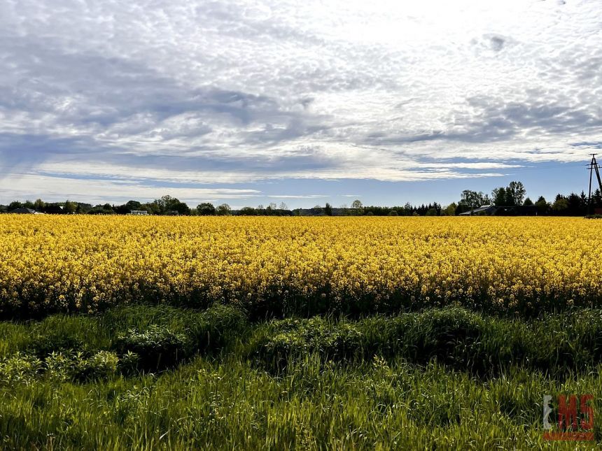 Malinniki, 210 000 zł, 4.3 ha, rolna miniaturka 6