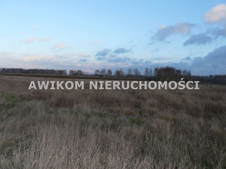 Sierakowice Lewe, 300 000 zł, 1.12 ha, woda w drodze miniaturka 9