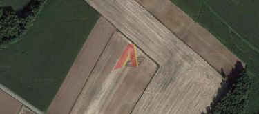 Pałecznica, 700 000 zł, 2.41 ha, rolna