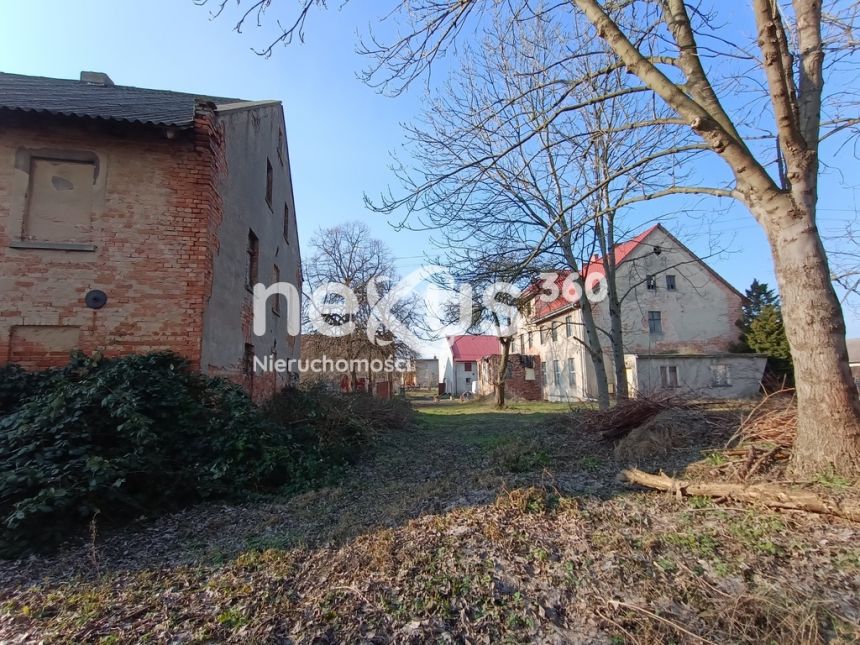 Dąbrowa, 650 000 zł, 1230 m2, 20 pokoi miniaturka 5