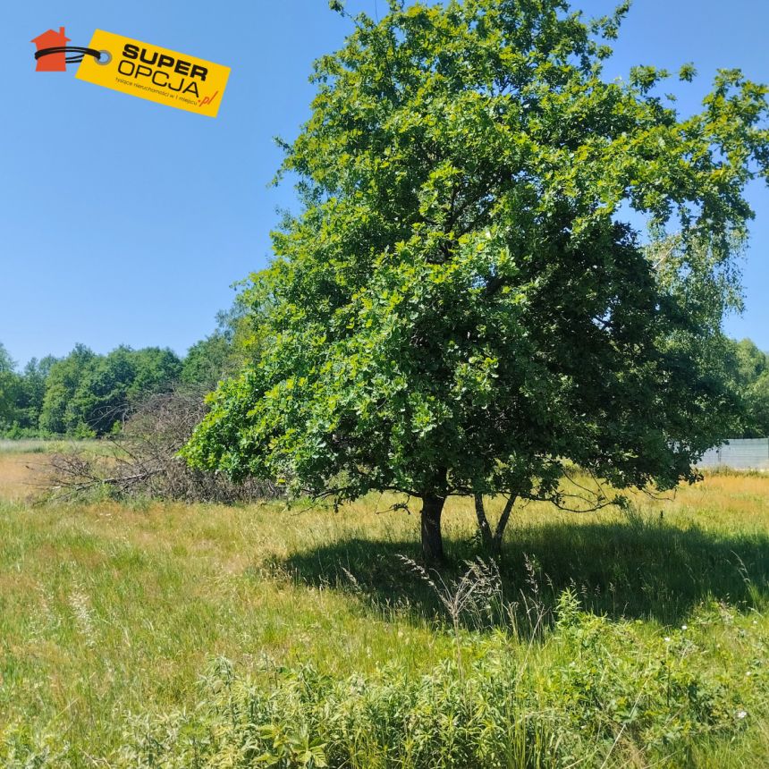 Mogilany, 1 215 000 zł, 38.1 ar, droga dojazdowa utwardzona miniaturka 4