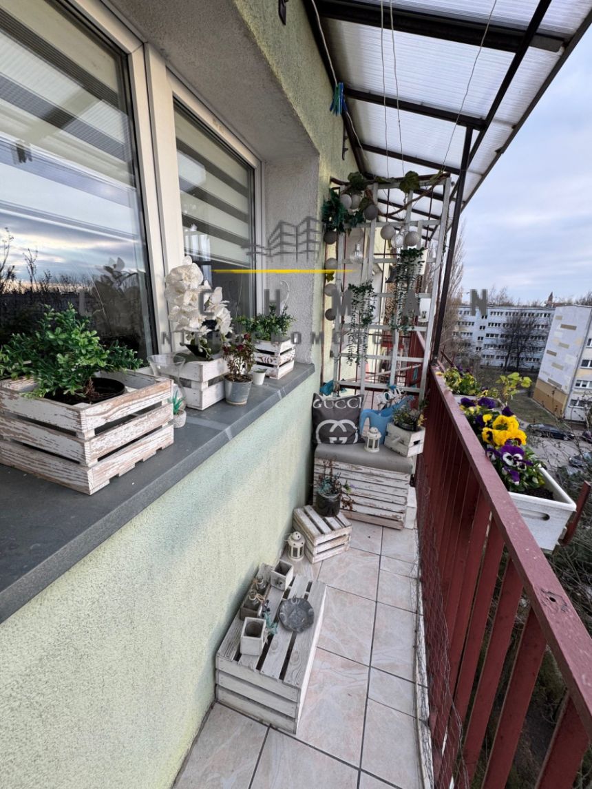 Łódź Bałuty, 435 000 zł, 45.13 m2, z loggią miniaturka 5