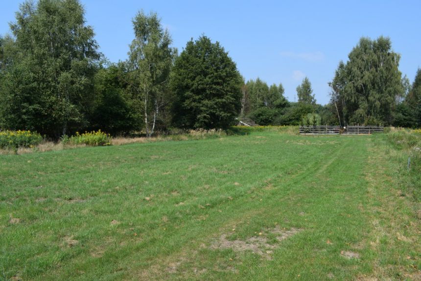 Działka budowlana 32a - Głogów Młp miniaturka 9