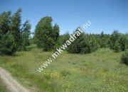 Grzegorzewice, 180 000 zł, 20 ar, prostokątna miniaturka 3