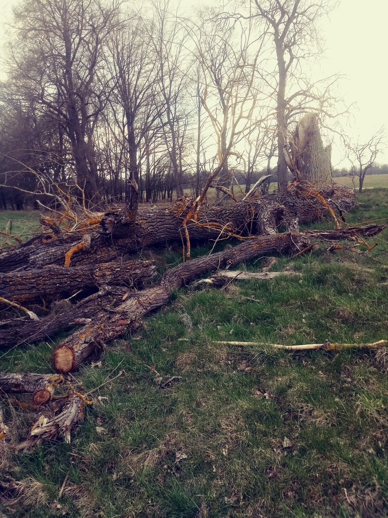 Działka o pow.3219 m2,Łęgi,gm. Dobra,Na Świdwie. miniaturka 5