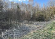 Działka 2,15 ha z potencjałem koło Nałęczowa. miniaturka 6