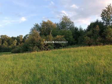 Duża nieruchomość w terenach rolnych.