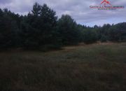 3 Działki w lesie Cegielnik miniaturka 6