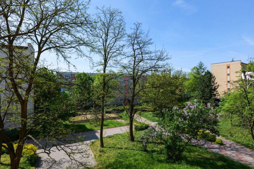 Częstochowa, ul. Baczyńskiego | Mieszkanie miniaturka 12