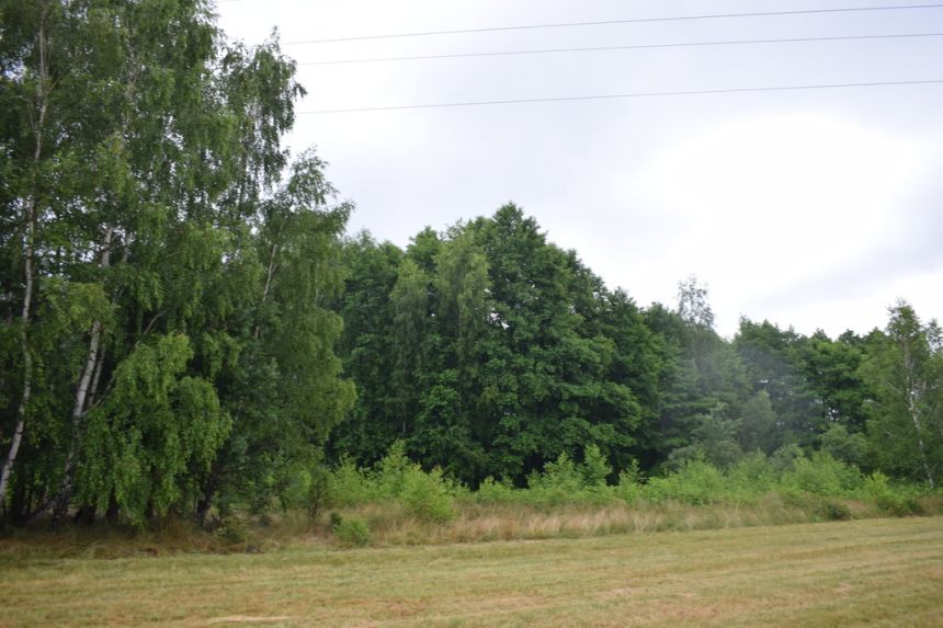 Działka budowlana 39a w Budach Głogowskich miniaturka 8