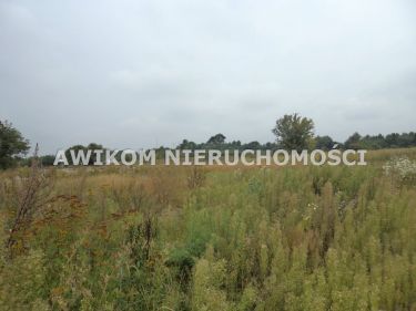 Pieńki Słubickie, 900 000 zł, 3.03 ha, rolna