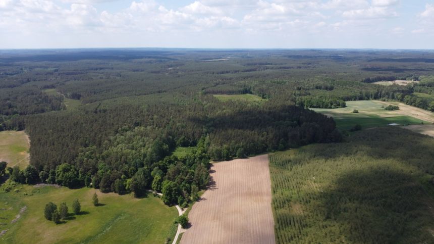 Działka bud.1727m2,obr.Piława,przy J.Łąkie,las. miniaturka 8