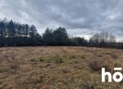 Działka 1,37 ha przy lesie | Zabudowa zagrodowa miniaturka 8