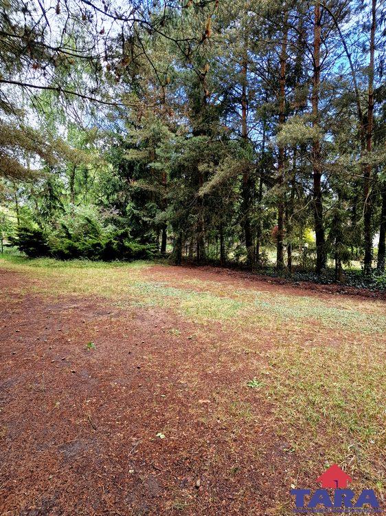 Laski Małe, 198 000 zł, 39 m2, z drewna miniaturka 6