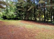 Laski Małe, 198 000 zł, 39 m2, z drewna miniaturka 6