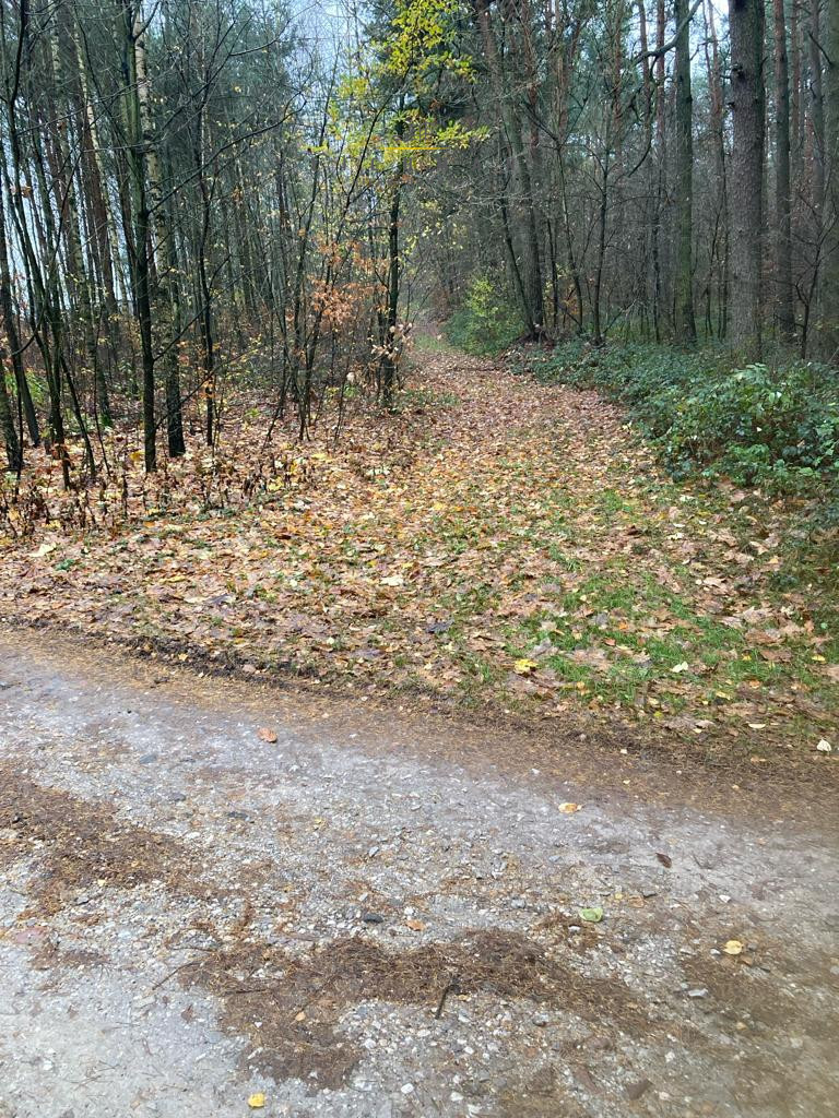 Ignatów, 80 000 zł, 33 ar, leśna miniaturka 3