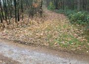 Ignatów, 80 000 zł, 33 ar, leśna miniaturka 3