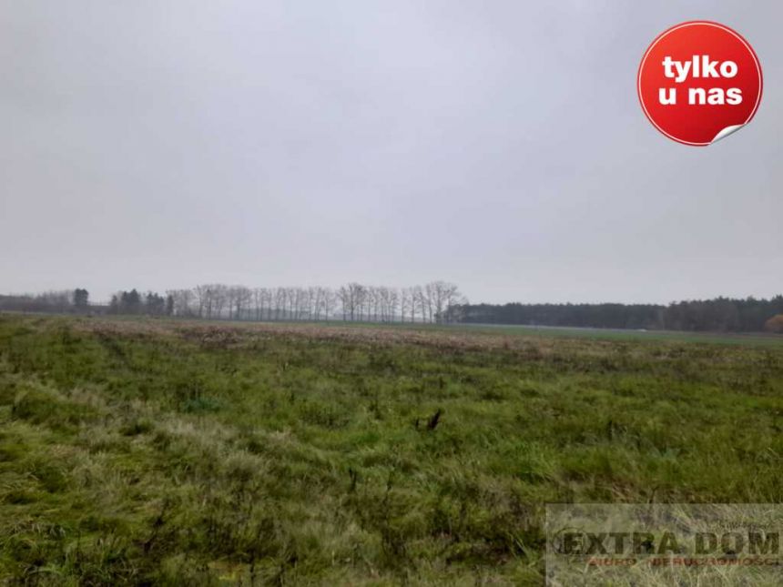 Płoty, 281 000 zł, 8.5 ha, płaska miniaturka 2