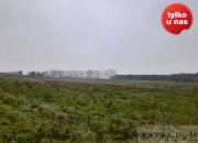 Płoty, 281 000 zł, 8.5 ha, płaska miniaturka 2