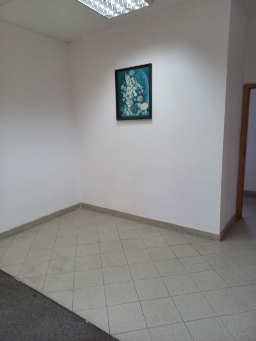 Sławno, ul. Marii Curie-Skłodowskiej 1 - WYNAJEM. miniaturka 1