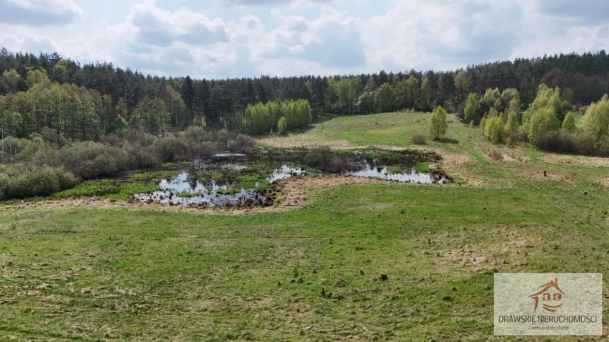 Rzepowo, 495 000 zł, 3.15 ha, rolna miniaturka 3
