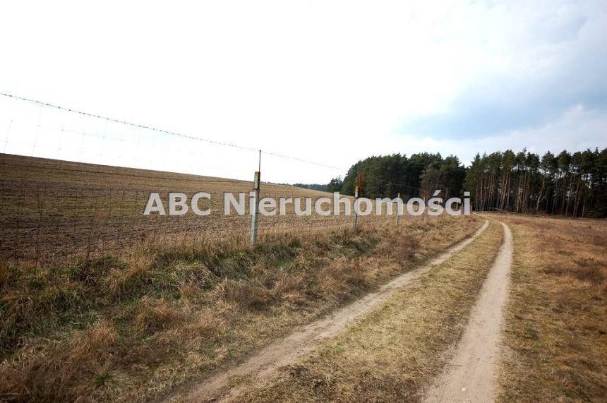 Golce, 610 000 zł, 99.69 ar, rolna z prawem zabudowy miniaturka 3