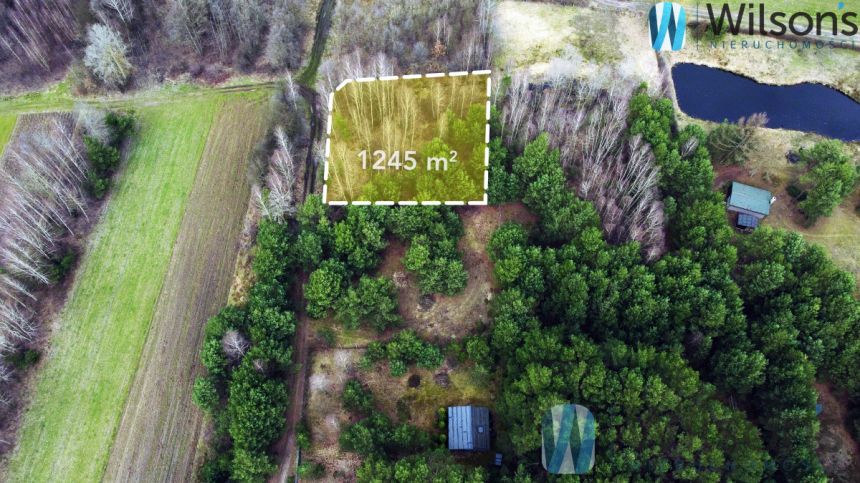 Ludwinów, 93 375 zł, 12.45 ar, droga dojazdowa gruntowa miniaturka 6
