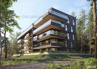 Park Sosnowy, Nowy Etap