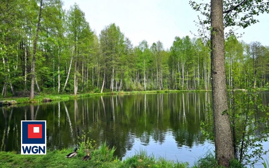 Myszków Stary Myszków, 1 090 000 zł, 162 m2, wolnostojący miniaturka 15