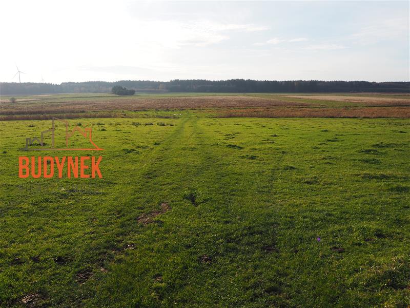 Działka rolna - Krupy miniaturka 9