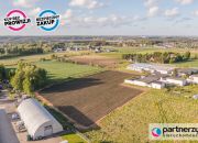 Bojano, 1 045 440 zł, 31.65 ar, droga dojazdowa gruntowa miniaturka 6